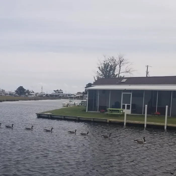 Treasure Beach RV Park & Campground Picture 4