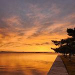 Summer-Time Trailer Park