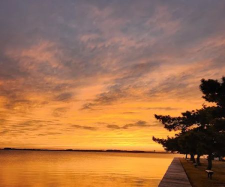 Summer-Time Trailer Park