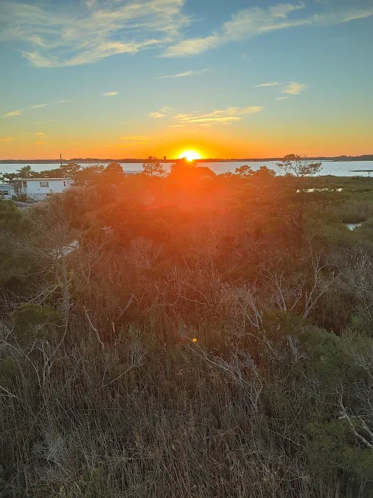 Summer-Time Trailer Park Picture 6