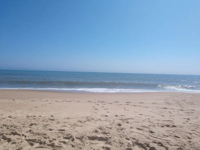 Summer-Time Trailer Park Picture 7