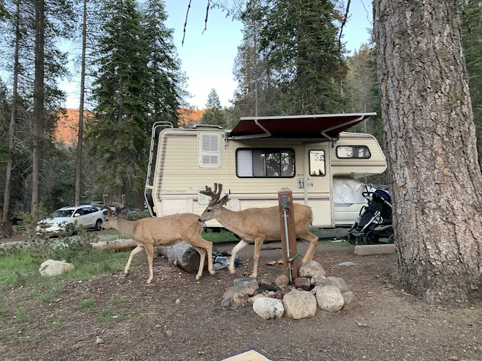Lodgepole Campground Picture 1