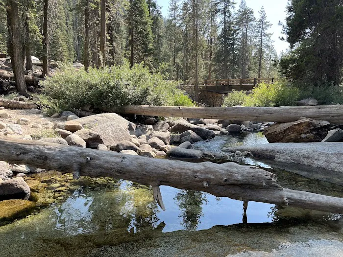 Lodgepole Campground Picture 3