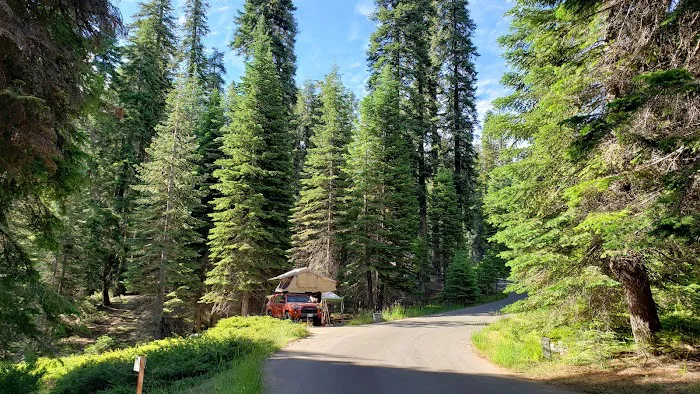 Dorst Creek Campground - Group Camp Area - B Picture 1