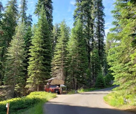 Dorst Creek Campground - Group Camp Area - B