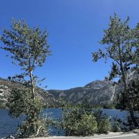 June lake ico