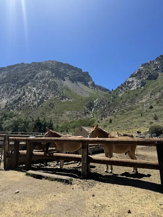 June lake Picture 4