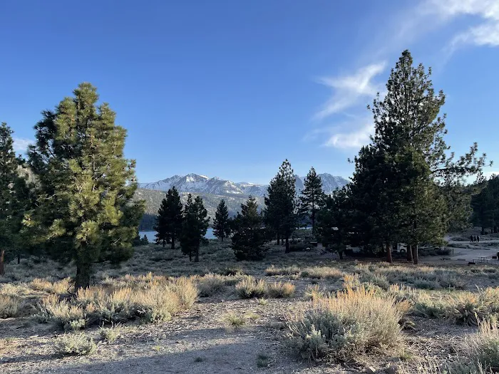 Oh Ridge Campground Picture 3
