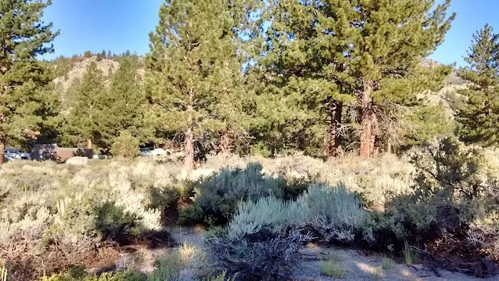 Pine Cliff Resort Picture 7