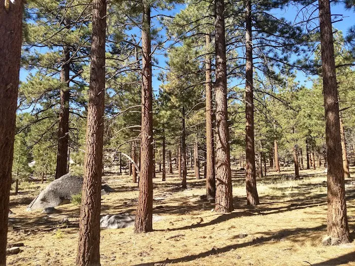 Pine Cliff Resort Picture 9