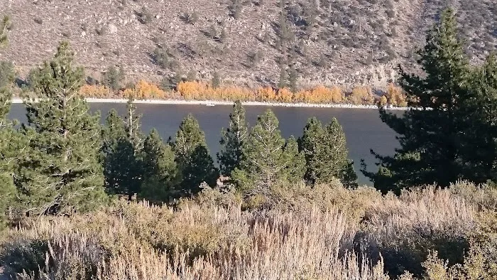 Pine Cliff Resort Picture 10