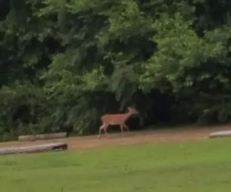 Harbour Light Estates