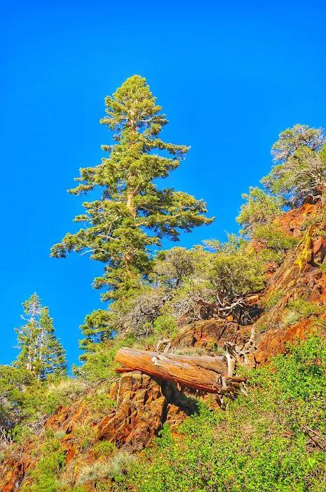 Convict Lake Campground Picture 10