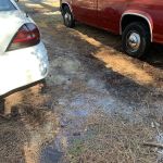 Wilson Landing Manufactured Home Community