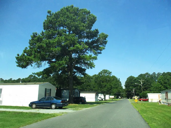 Wilson Landing Manufactured Home Community Picture 4