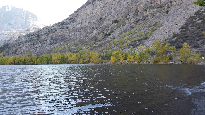 Trailer Park Campground Picture 8