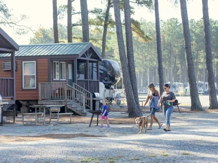 Tall Pines / Chesapeake Bay KOA Picture 5