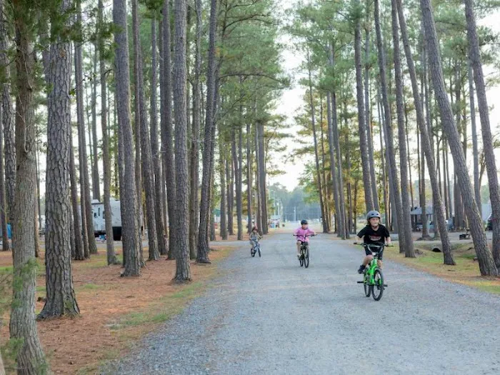 Tall Pines / Chesapeake Bay KOA Picture 9