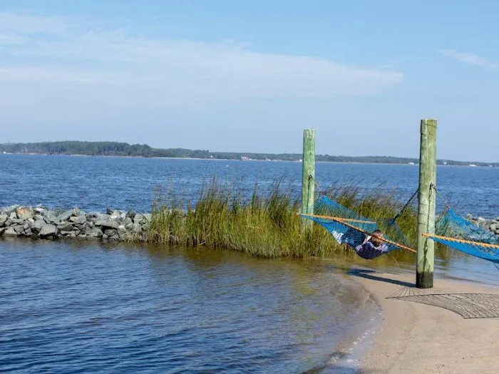 Tall Pines / Chesapeake Bay KOA Picture 10
