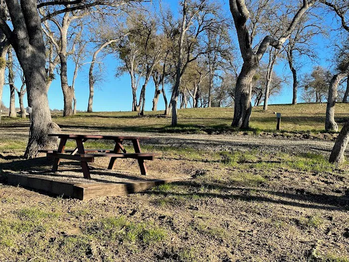 Private Vineyard and Mountain Views Campsites Picture 8