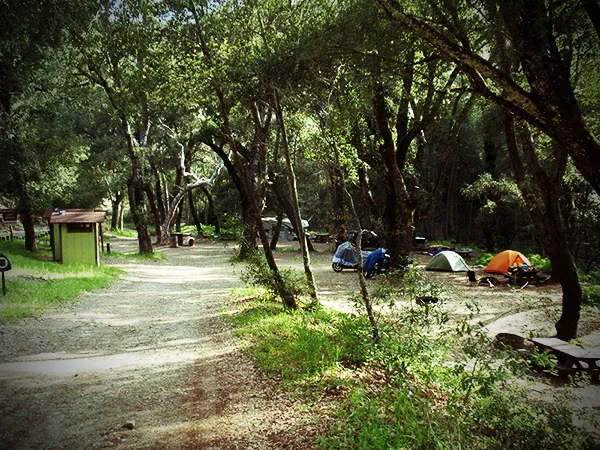 Nacimiento Campground Picture 3