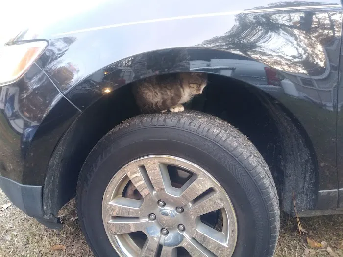 Shore Trailer Sales Picture 1