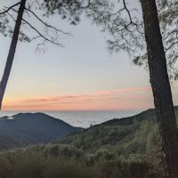 Lions Den Campground ico