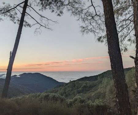 Lions Den Campground