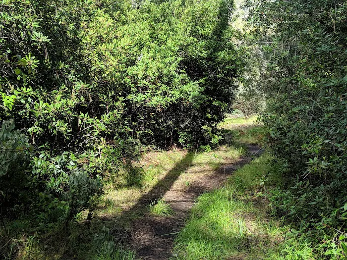 Estrella Campground Picture 1