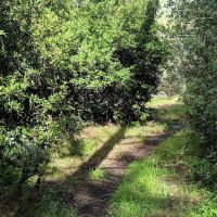 Estrella Campground ico