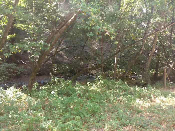 Estrella Campground Picture 4