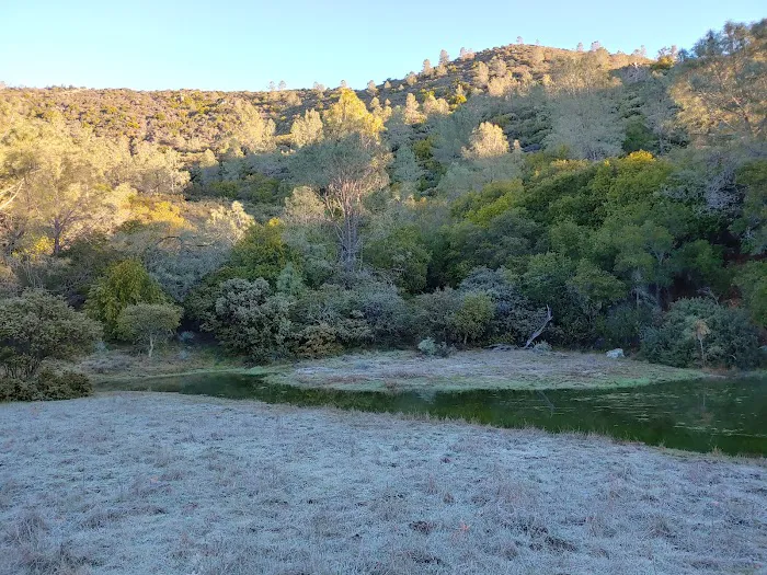 Turkey Springs Campground Picture 2