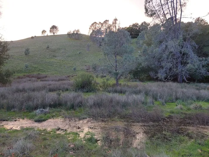 Turkey Springs Campground Picture 1