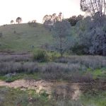 Turkey Springs Campground