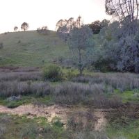 Turkey Springs Campground ico