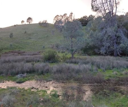 Turkey Springs Campground