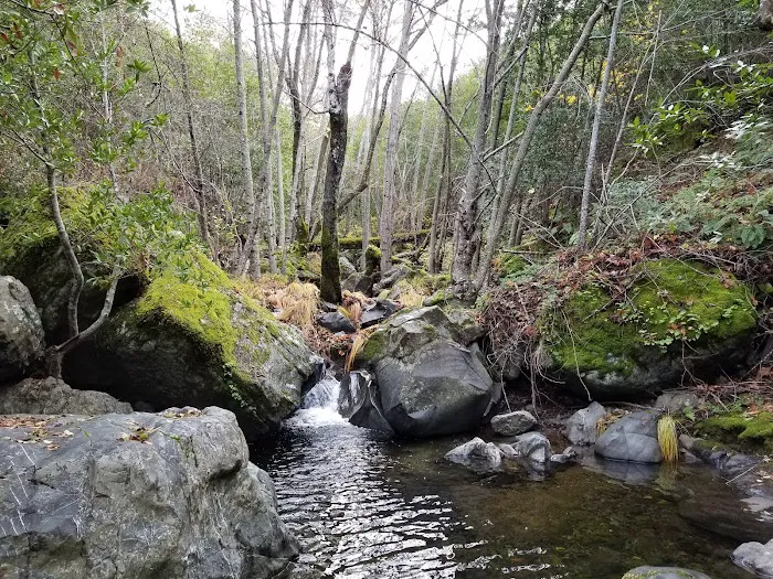 Alder Creek Camp Picture 3
