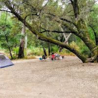 Alder Creek Camp ico