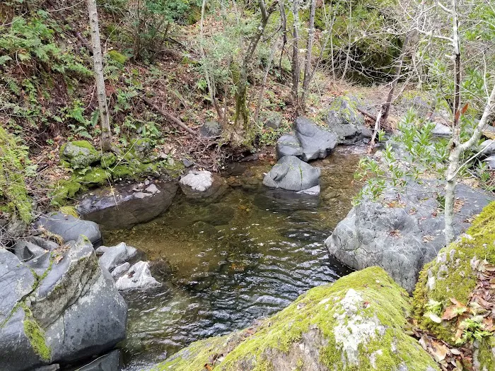 Alder Creek Camp Picture 10