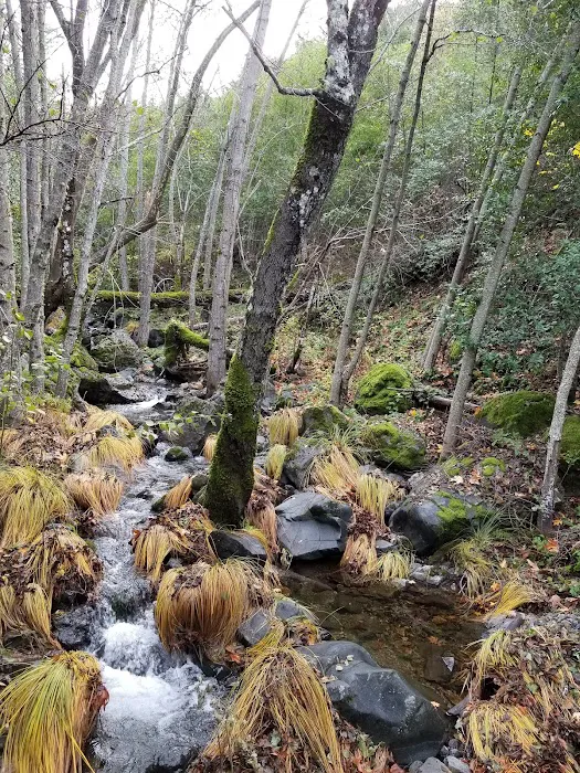 Alder Creek Camp Picture 6