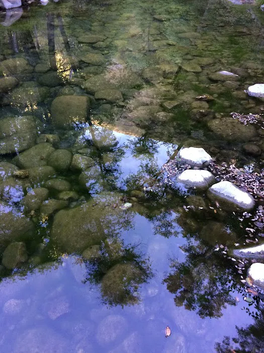 Escondido Campground Picture 7