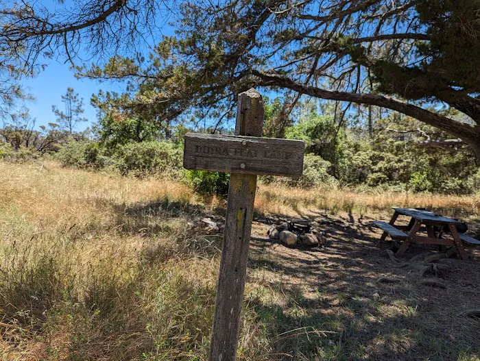Dutra Flat Campground Picture 5