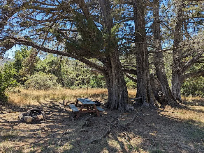 Dutra Flat Campground Picture 3