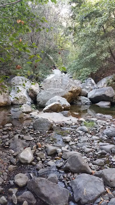 Spruce Campground Picture 1