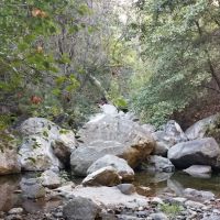 Spruce Campground ico