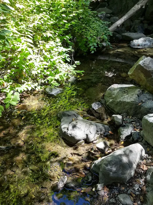 Spruce Campground Picture 5