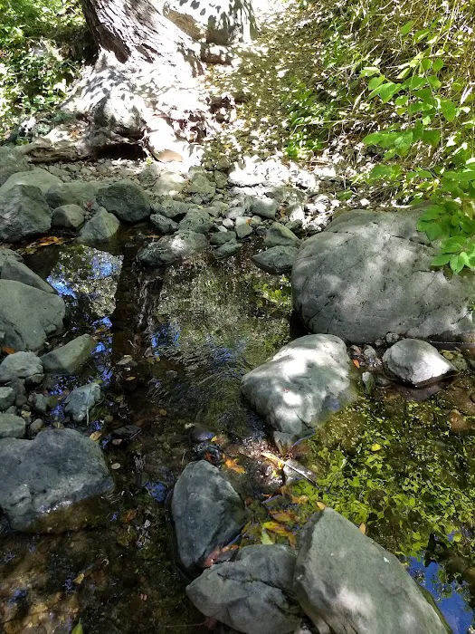 Spruce Campground Picture 6
