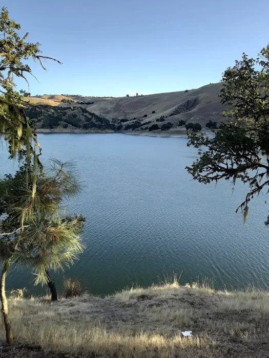 Eagle Ridge Picture 8