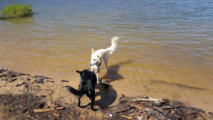 Sandy Point Campground Picture 1