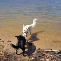 Sandy Point Campground ico